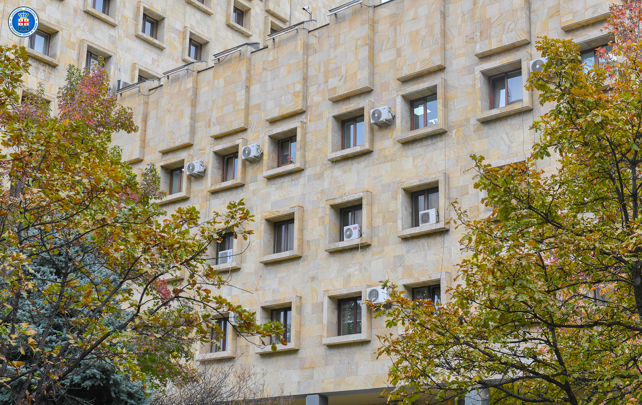 Олар бір қызды ұрлап, оны сиқылауға мәжбүрлеген.